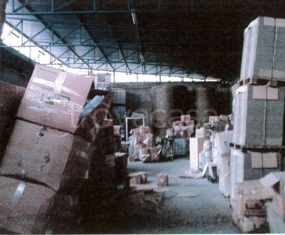 immagine annuncio 7 di 13