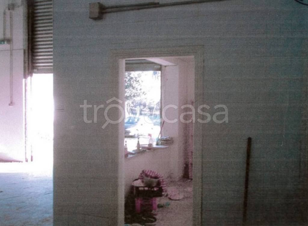 immagine annuncio 9 di 13