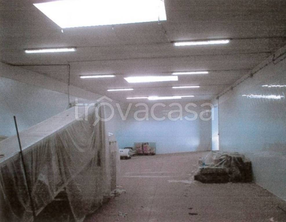 immagine annuncio 10 di 13
