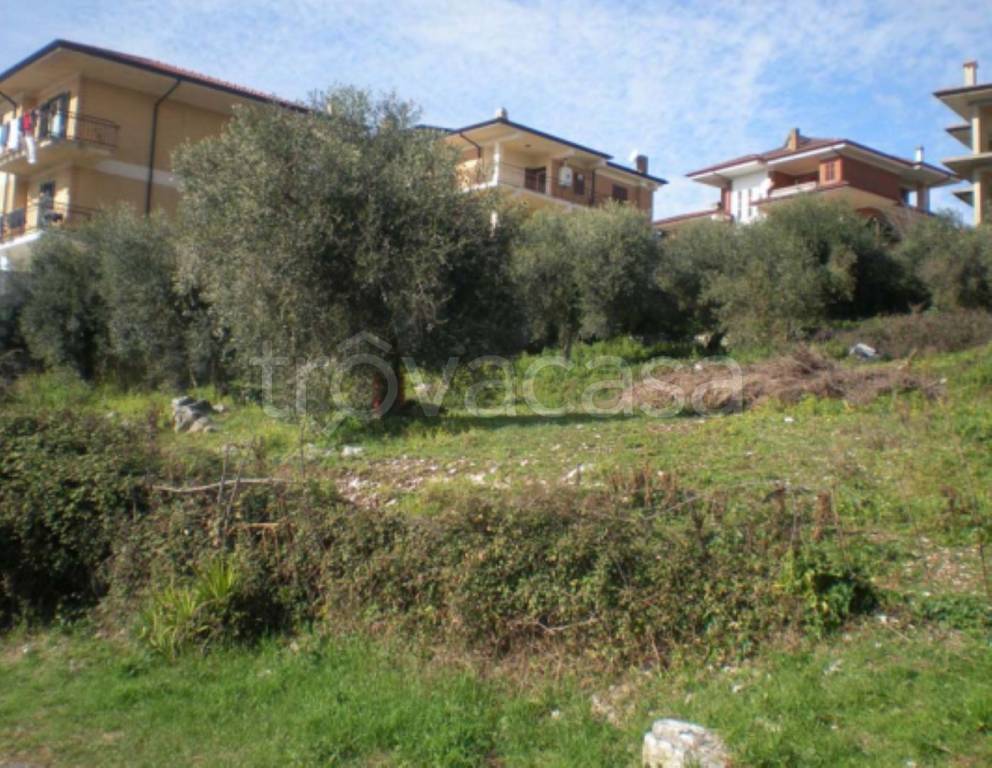 immagine annuncio 3 di 10