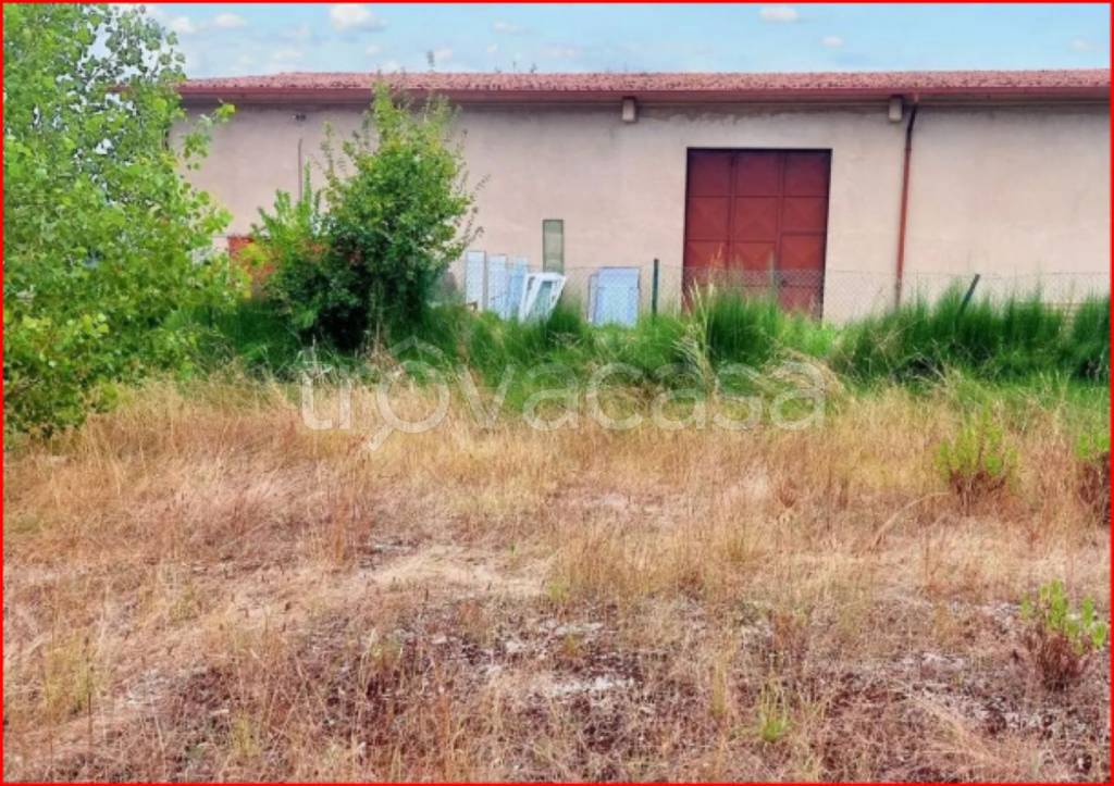 immagine annuncio 7 di 12