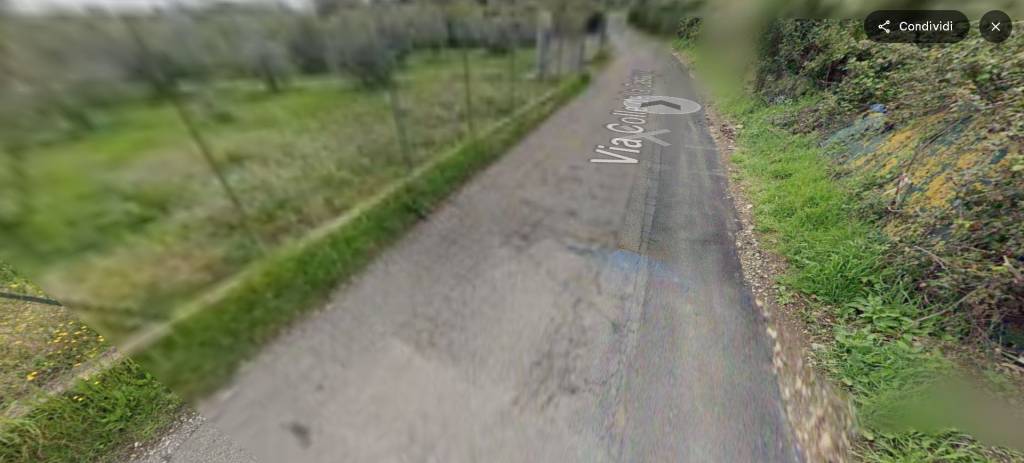 immagine annuncio 6 di 12
