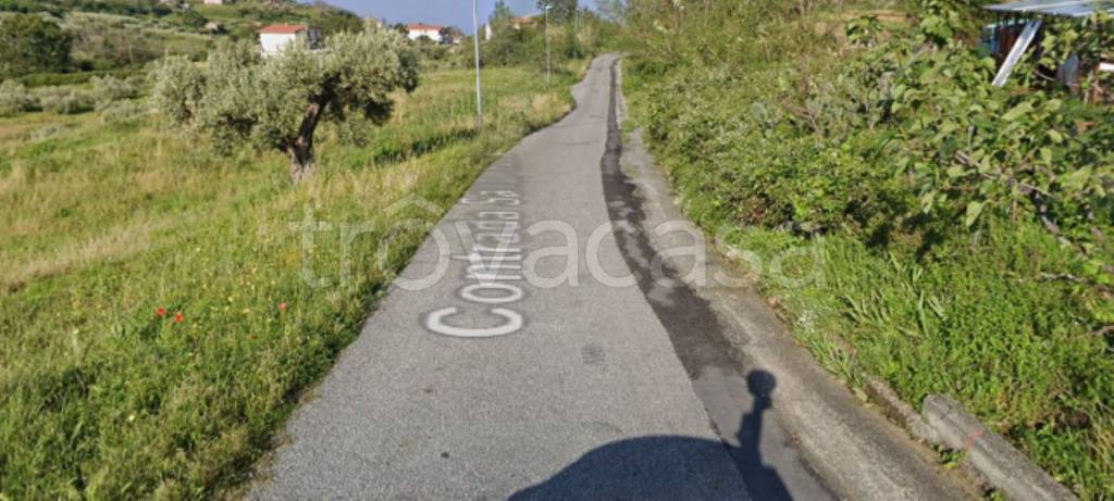 immagine annuncio 5 di 11