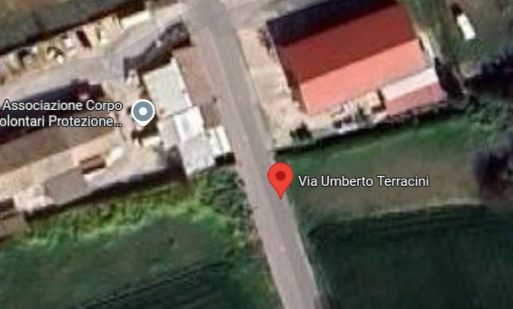 immagine annuncio 6 di 11