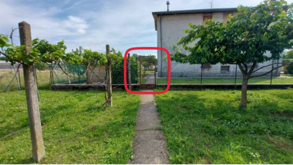immagine annuncio 5 di 11