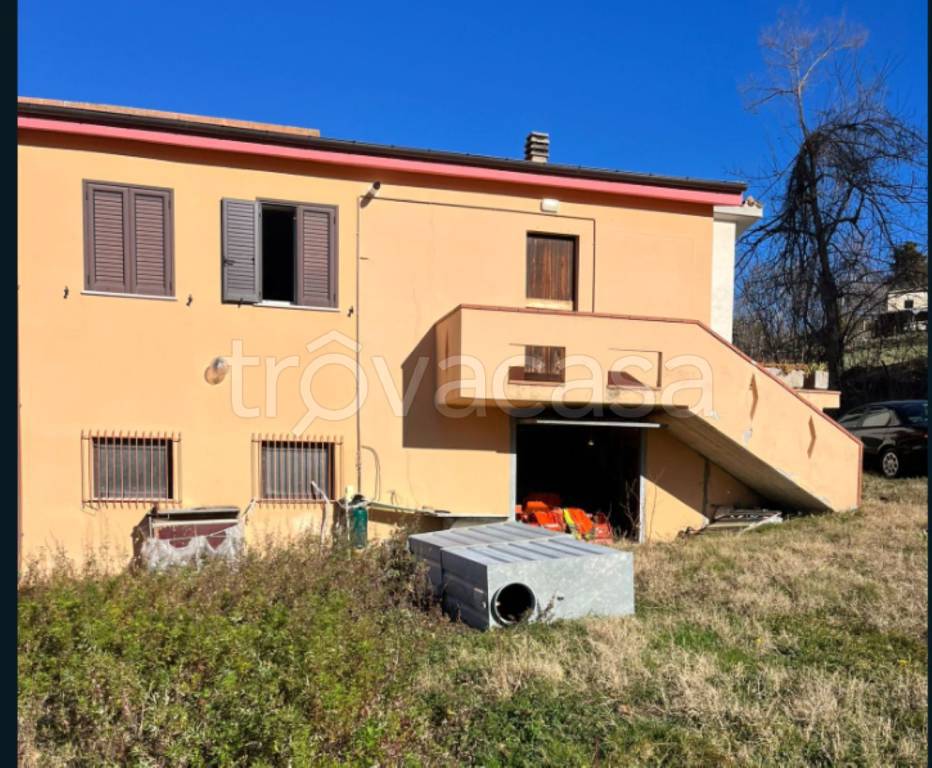 immagine annuncio 6 di 14