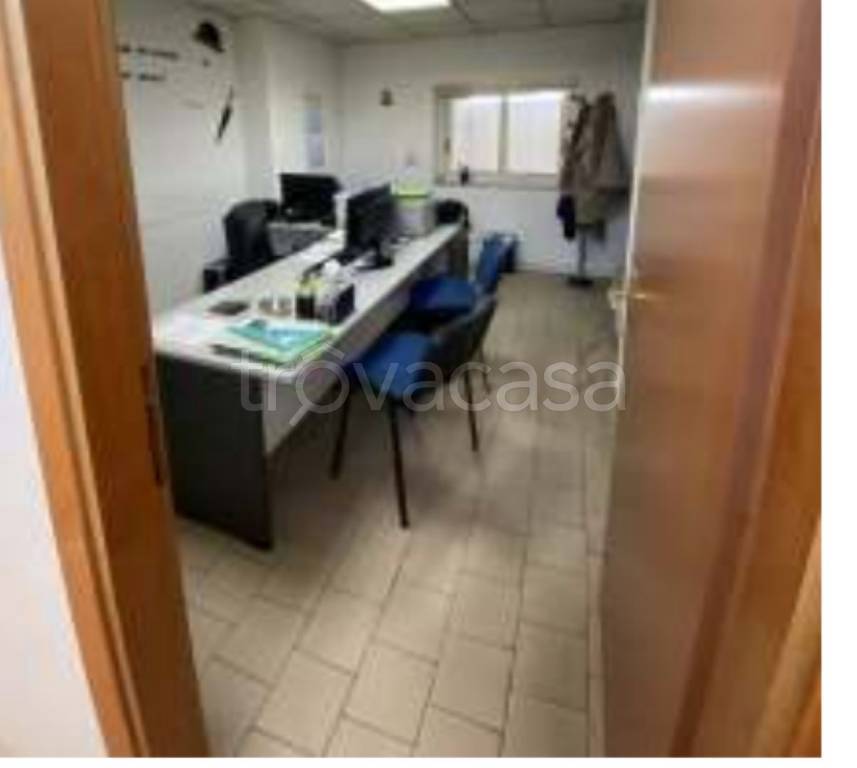 immagine annuncio 2 di 14