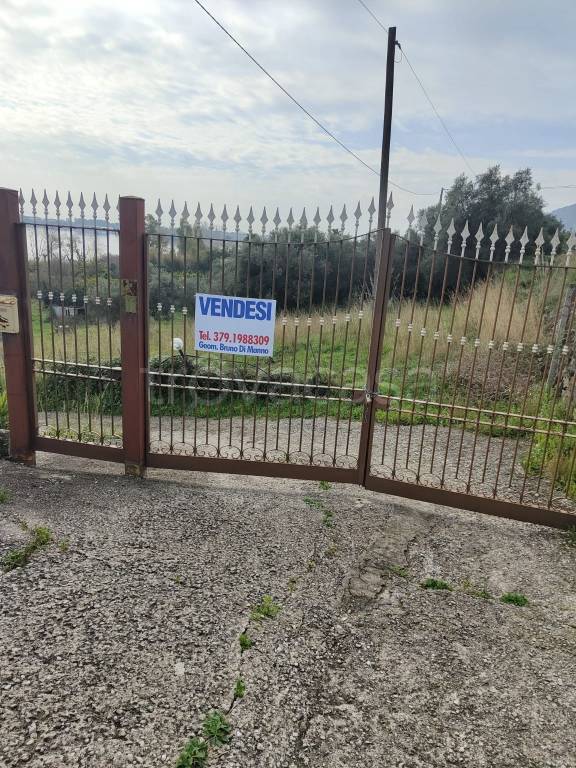 immagine annuncio 2 di 3