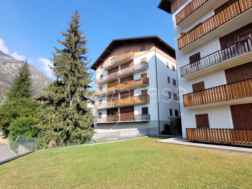 immagine annuncio 11 di 14