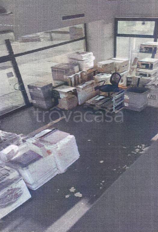 immagine annuncio 3 di 8