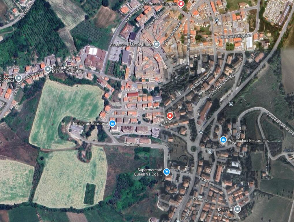 immagine annuncio 1 di 14