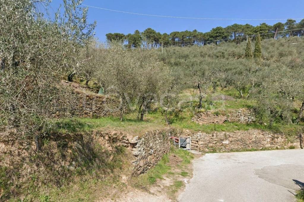 immagine annuncio 2 di 7