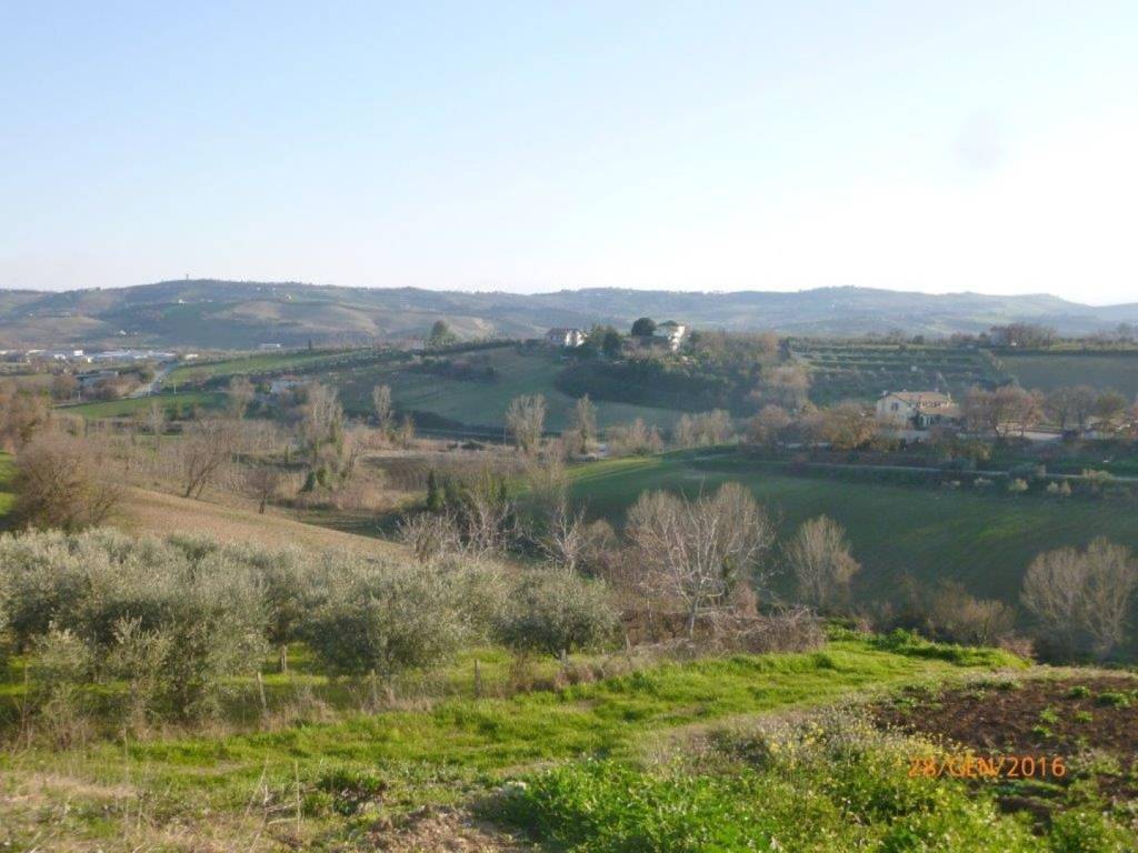 immagine annuncio 5 di 11