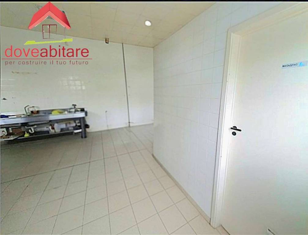immagine annuncio 10 di 12