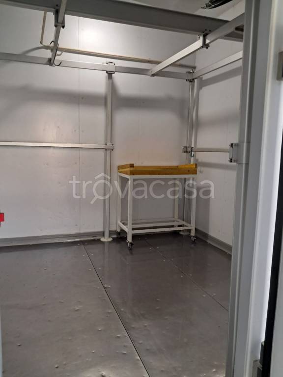 immagine annuncio 9 di 14