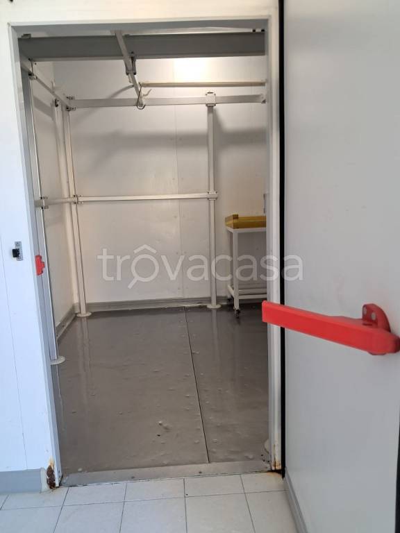 immagine annuncio 11 di 14