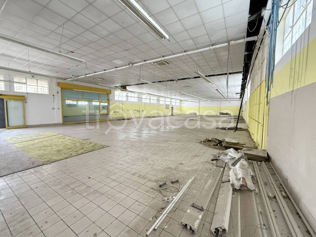 immagine annuncio 2 di 8