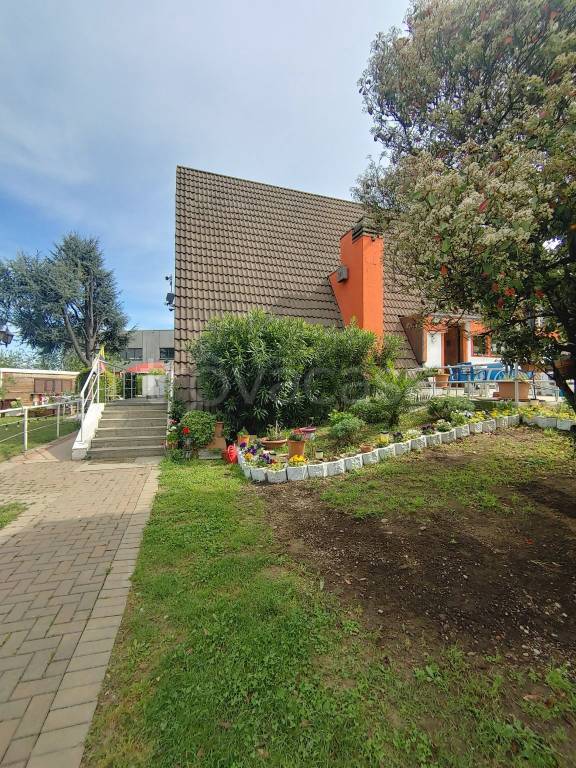 immagine annuncio 8 di 15