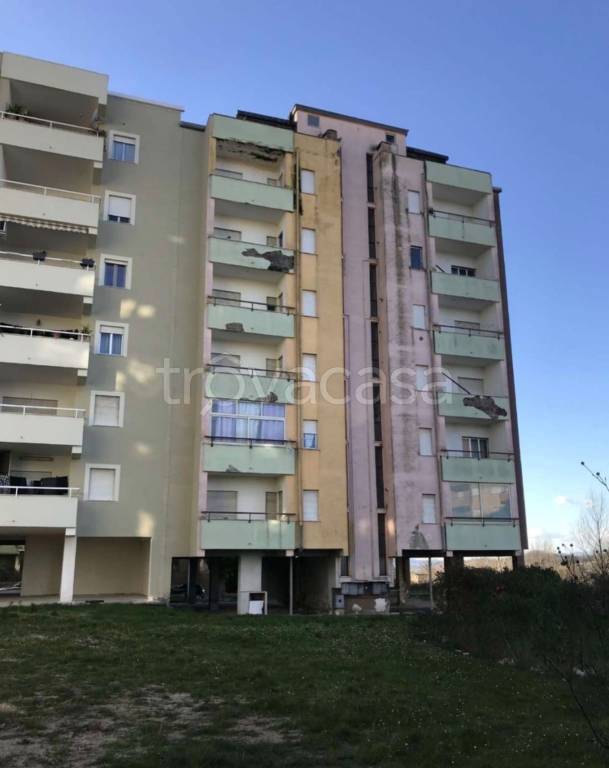 immagine annuncio 9 di 10