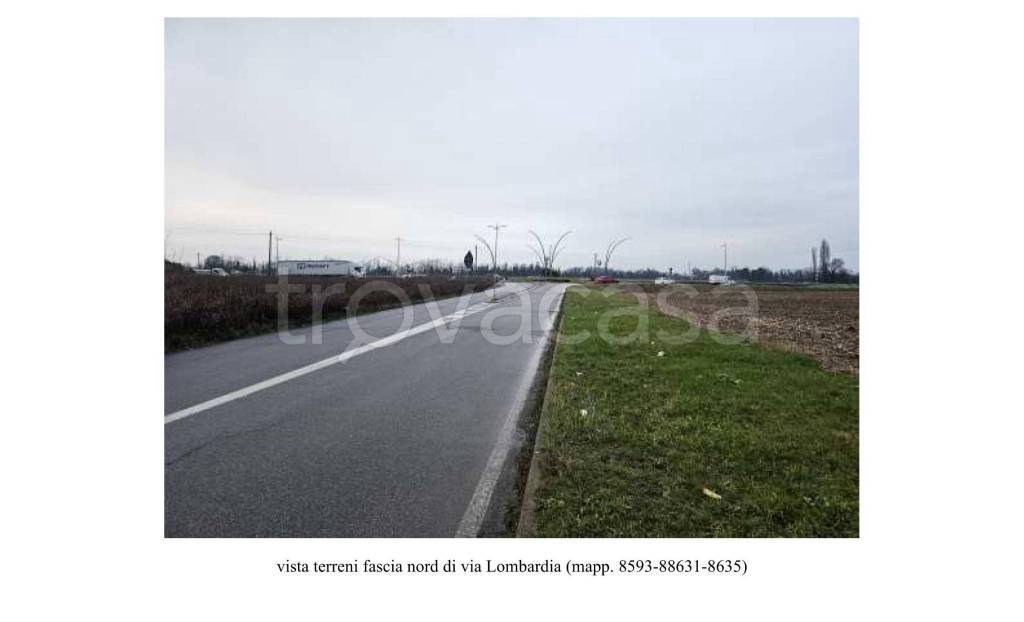 immagine annuncio 3 di 6