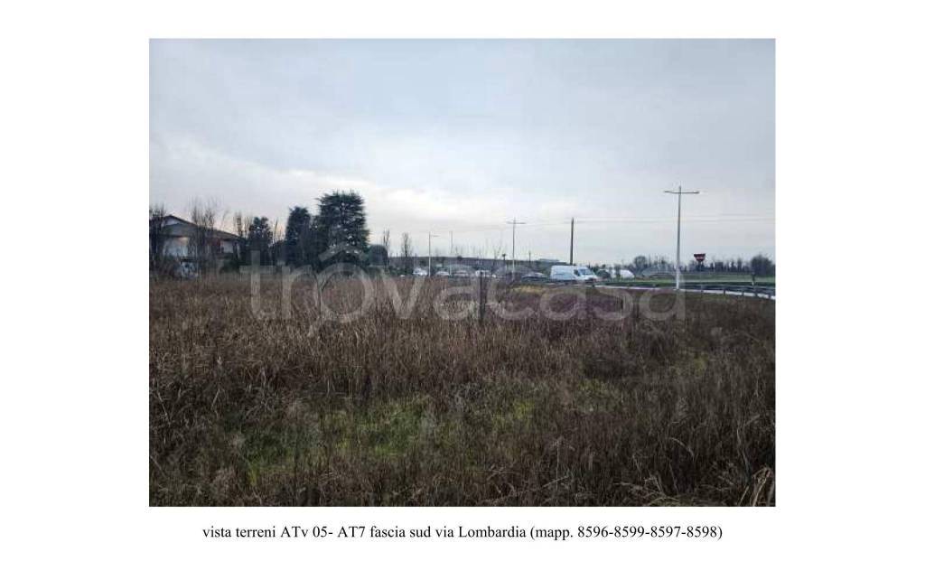immagine annuncio 5 di 6