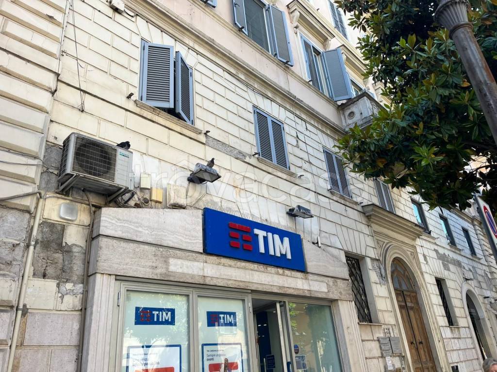 immagine annuncio 3 di 6