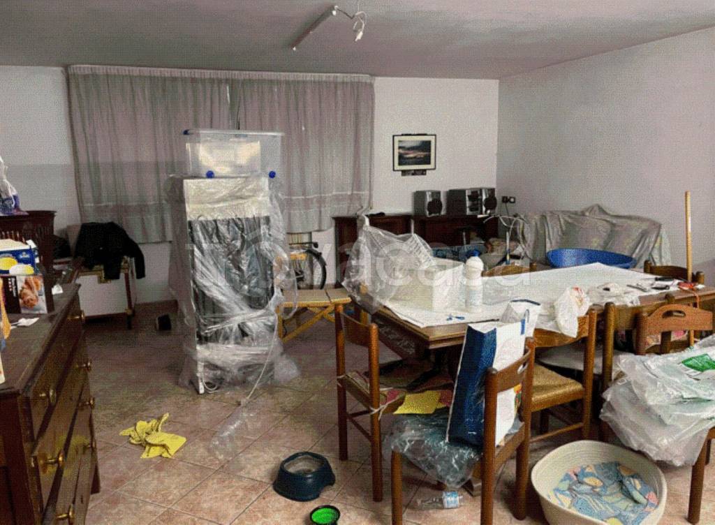 immagine annuncio 3 di 12