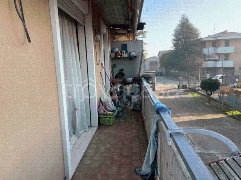 immagine annuncio 8 di 12