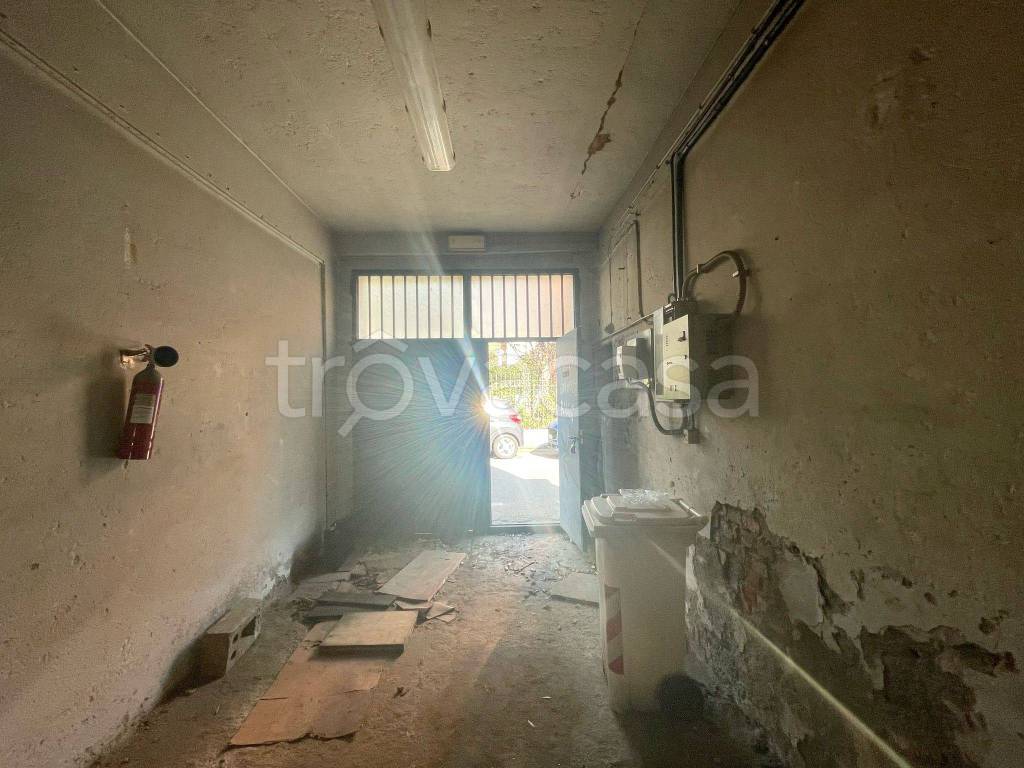 immagine annuncio 9 di 15