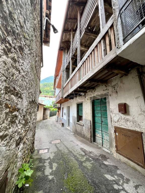 immagine annuncio 4 di 12