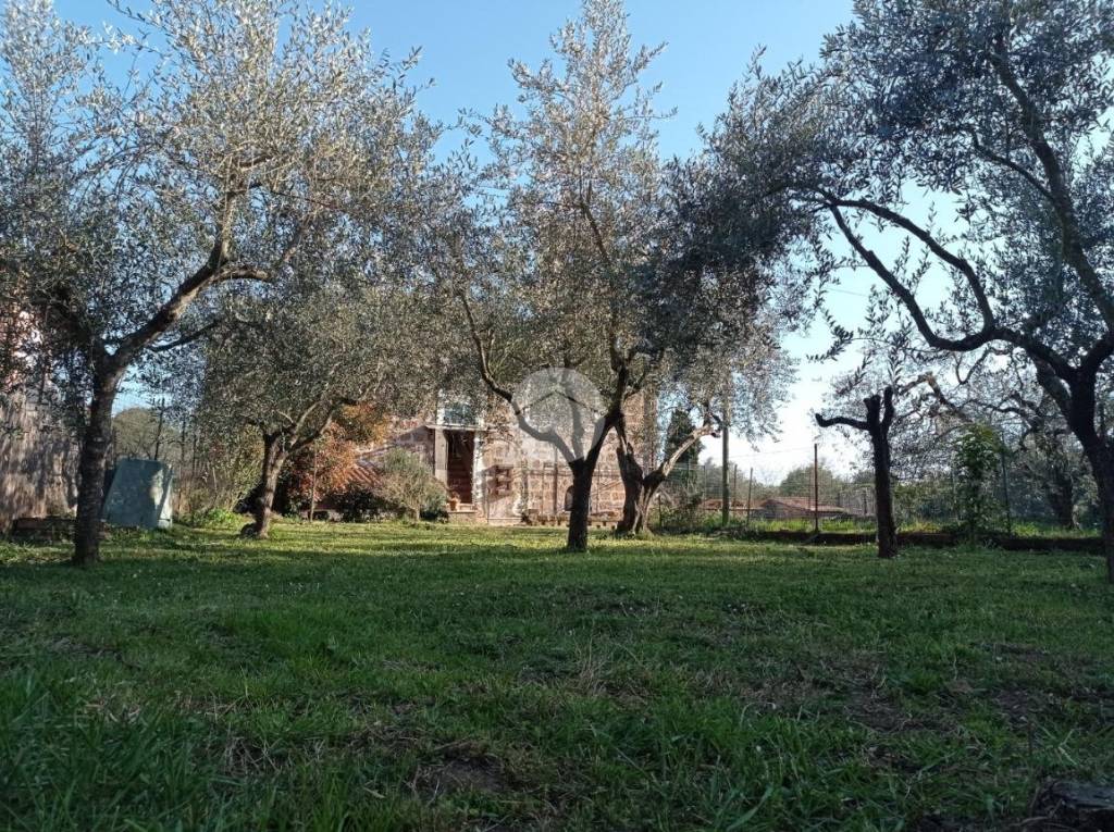 immagine annuncio 1 di 8
