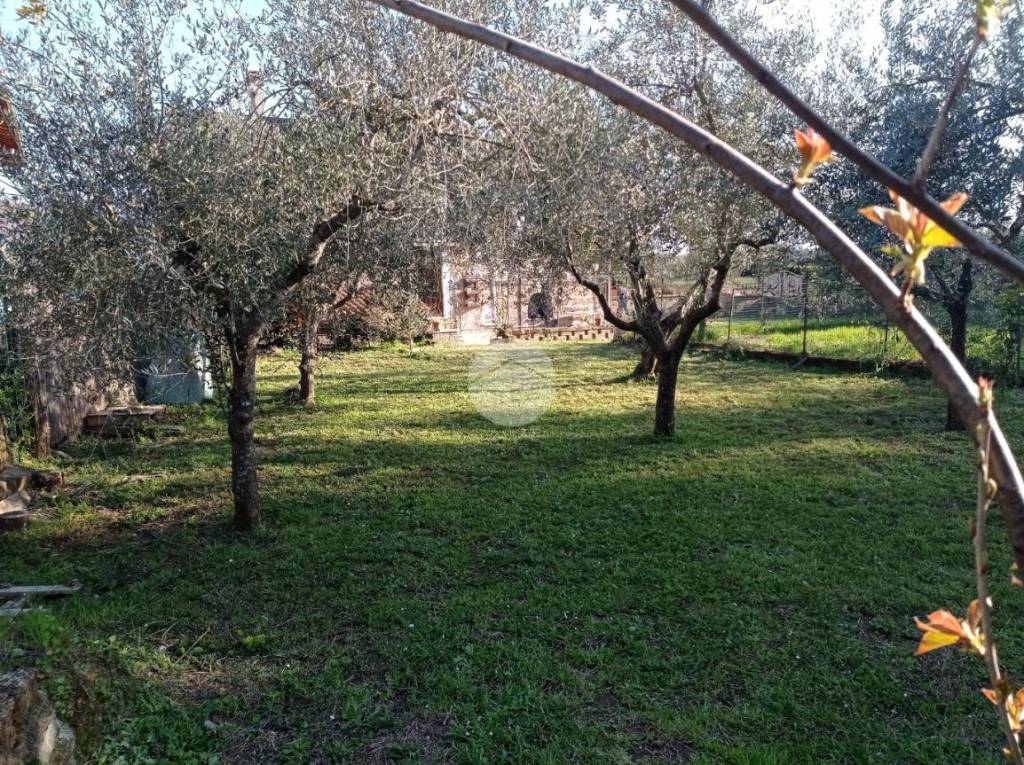 immagine annuncio 2 di 8