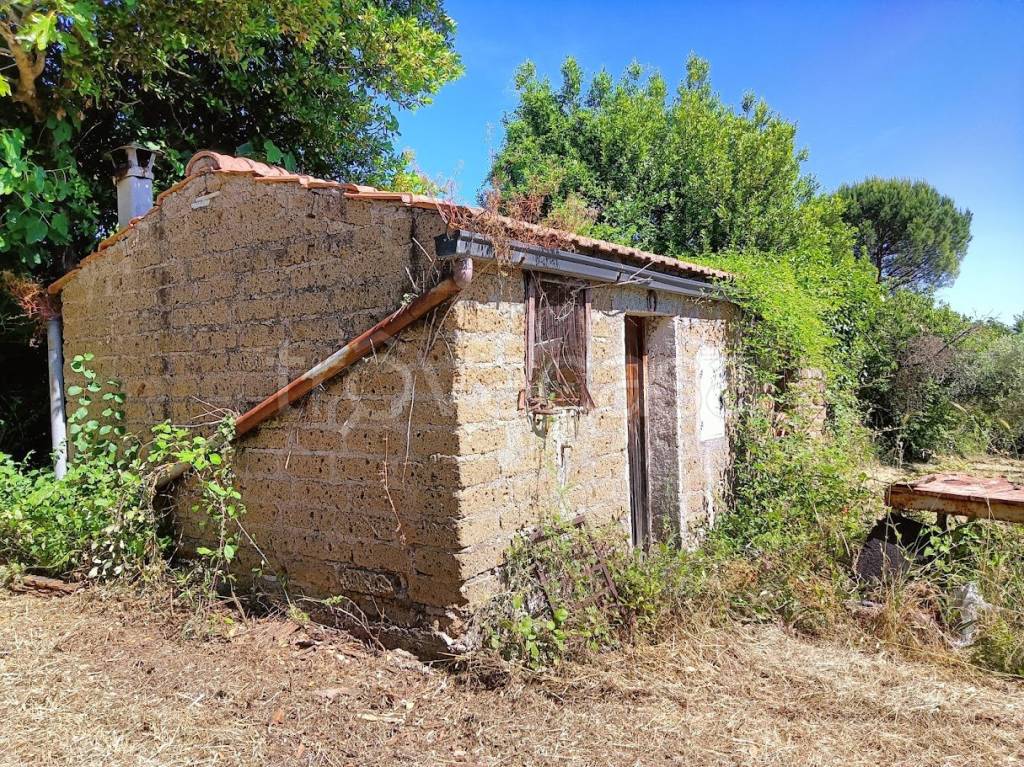 immagine annuncio 1 di 14