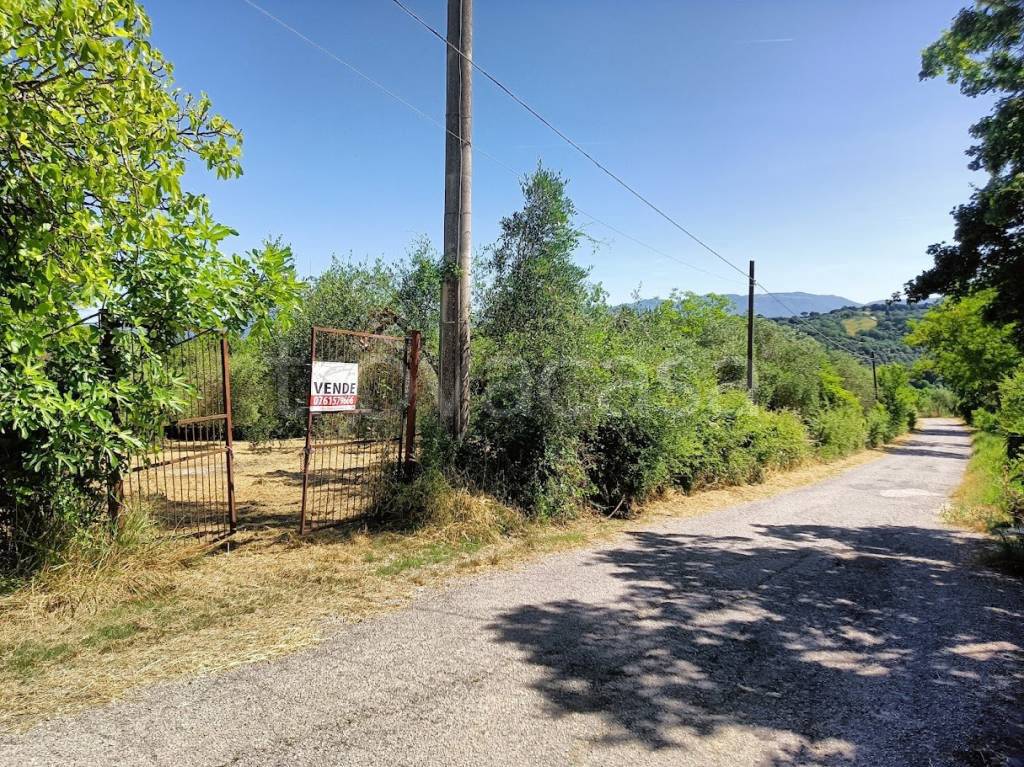 immagine annuncio 3 di 14