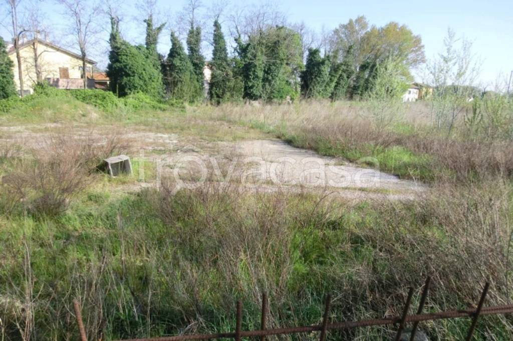 immagine annuncio 7 di 12