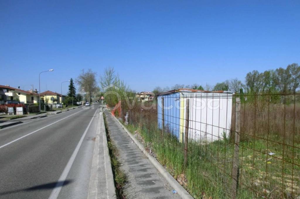 immagine annuncio 5 di 12