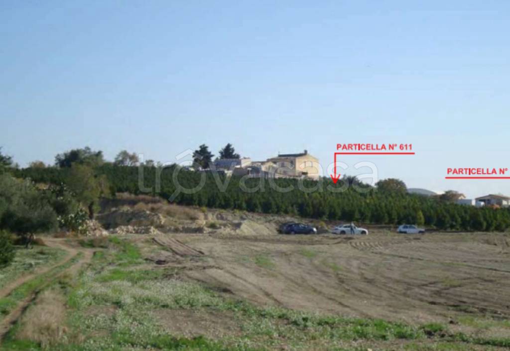 immagine annuncio 6 di 11