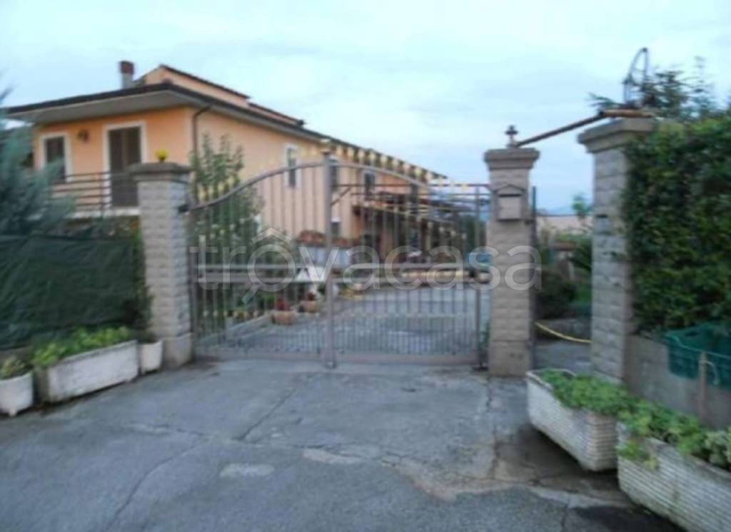 immagine annuncio 11 di 14