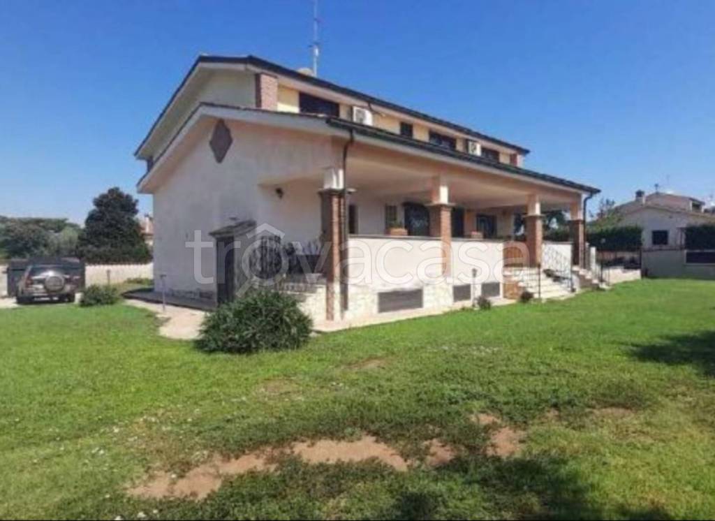immagine annuncio 2 di 14