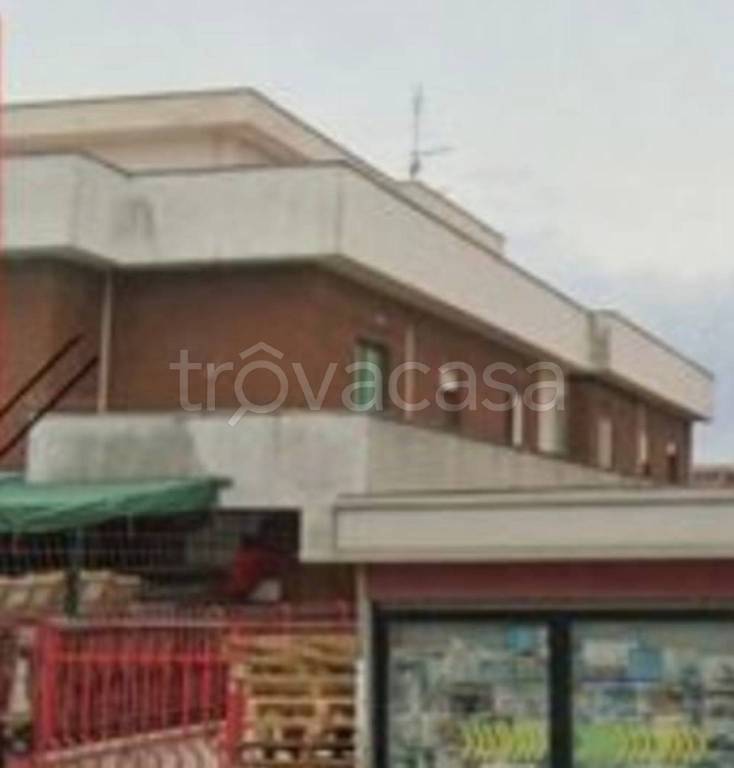 immagine annuncio 9 di 14