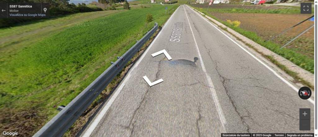immagine annuncio 2 di 13