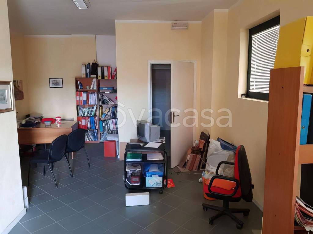 immagine annuncio 2 di 12