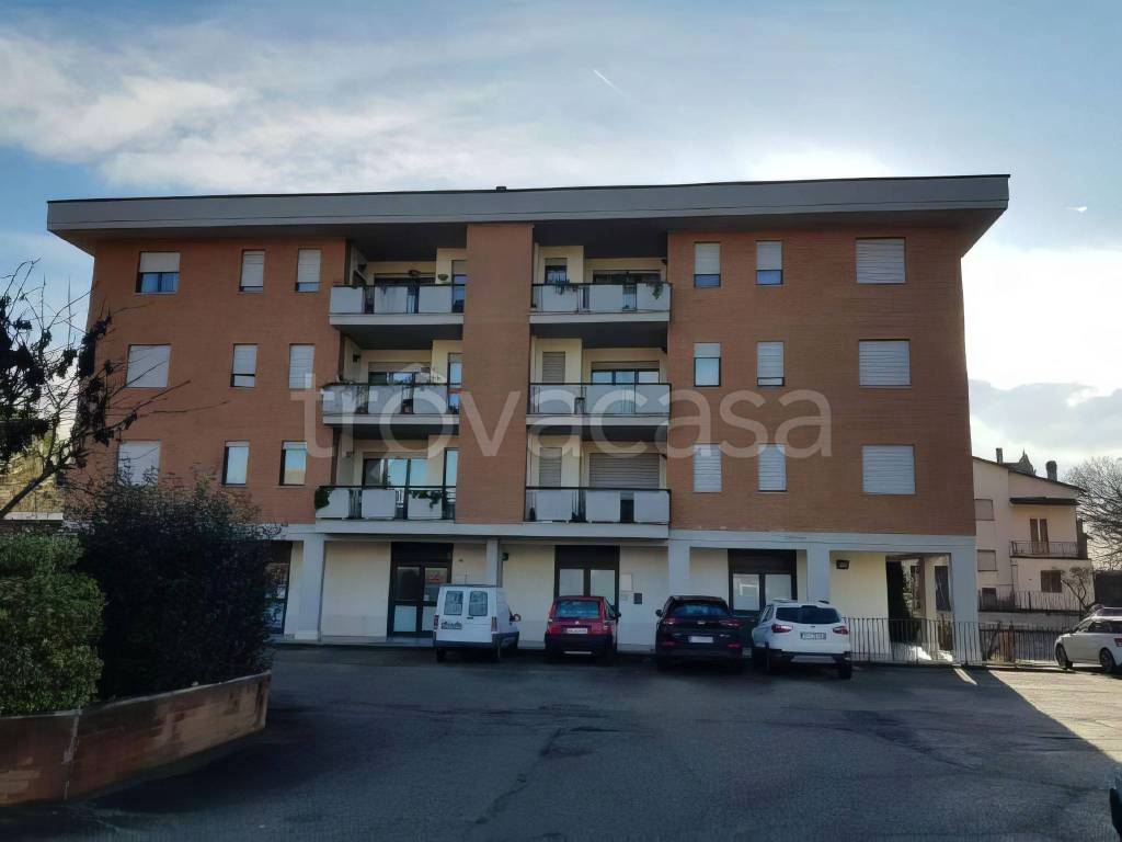 immagine annuncio 9 di 12