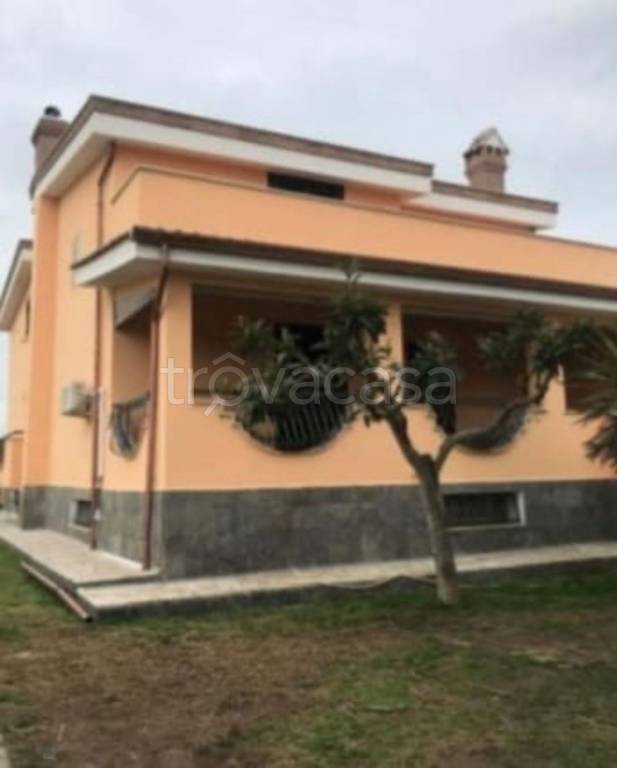 immagine annuncio 11 di 14