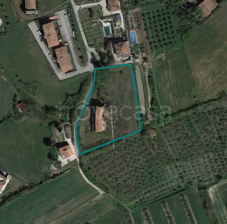 immagine annuncio 10 di 12