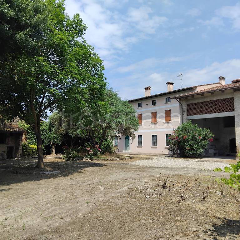 immagine annuncio 2 di 6