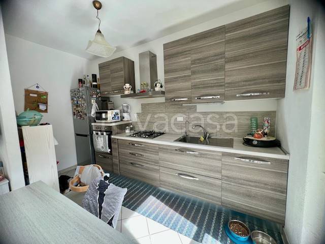 immagine annuncio 3 di 14