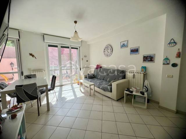 immagine annuncio 1 di 14