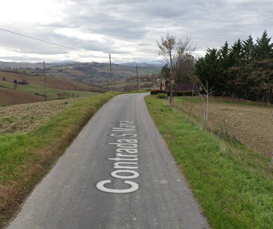 immagine annuncio 4 di 12