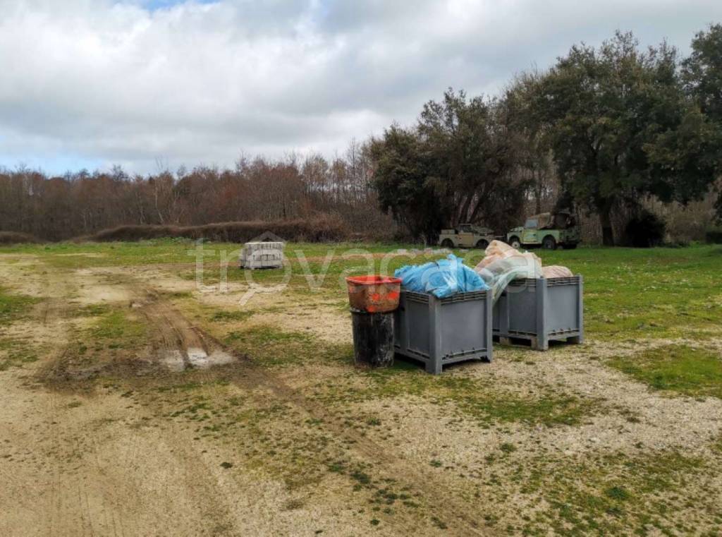immagine annuncio 6 di 11